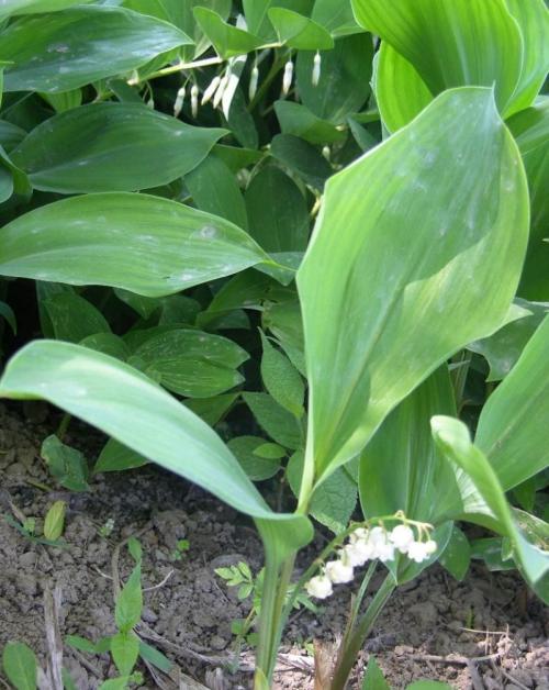 ҳܰ,ʦ͵͵ڿ ϸλǩЭ飿